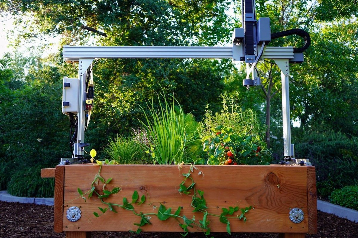 By allowing vining plants to spill over the front and back of the bed you can give your plants more room to soak up the sun while the root system can still be taken care of by #FarmBot 😎