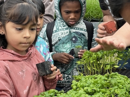 EUSD Schools tweet media