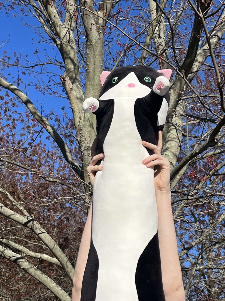 SBUCATNETWORK's tweet image. Thank you all for seeing us at the Artist Alley!! 🎨 It was so much fun being able to interact with you guys and showing off our wonderful merch made by our E-board and general body members 👥! Can't wait to see you all again in our future events when more of our cute cat merch!