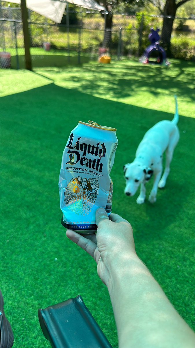 ssosaaaaaa's tweet photo. when work feels ruff, i like to enjoy a nice cold can of Liquid Death ☠️ #deathtoplastic #thirstmurdered https://t.co/SQ9gYrJcCL