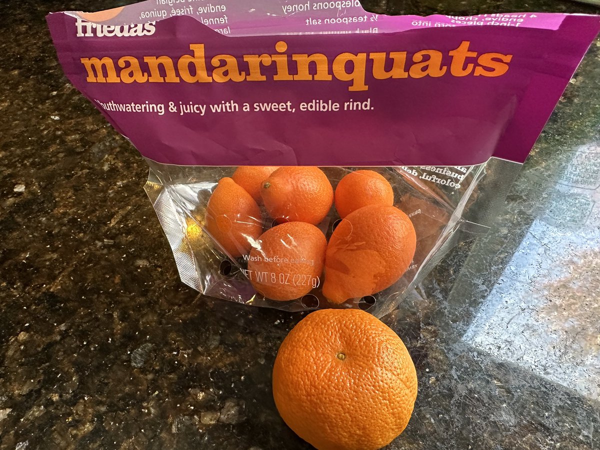 Today we are eating MANDARINQUATS! (When a mandarin & a kumquat ❤️ each other very, very much… 😂!) You eat THE WHOLE ENTIRE THING! The peel & everything! They’re a little sweet & a little citrusy & LOTS of fun to eat! Would totally buy again! (Regular mandarin for scale.)