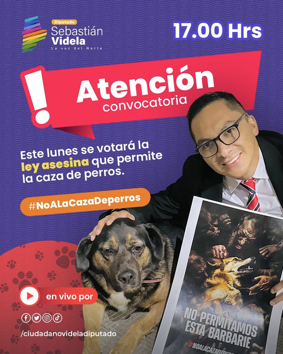Sebastián Videla Diputado tweet media