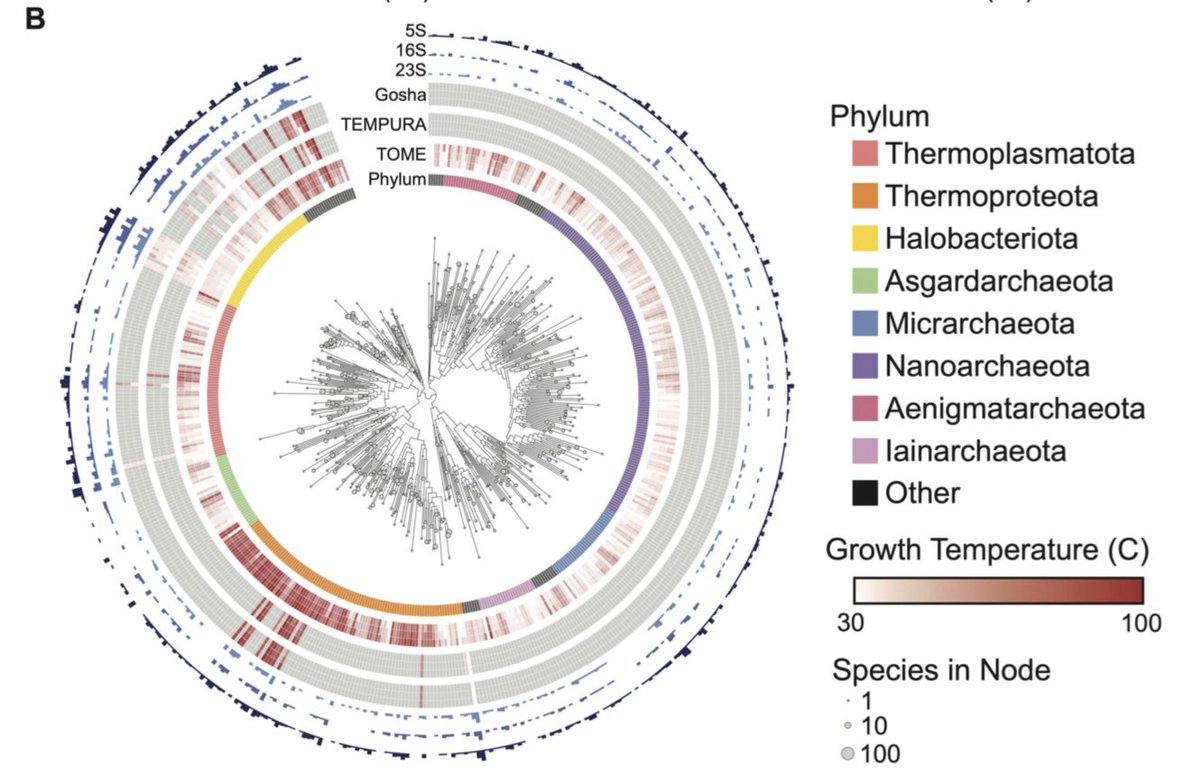 GARNET: RNA language models predict mutations that improve RNA function biorxiv.org/content/10.110…