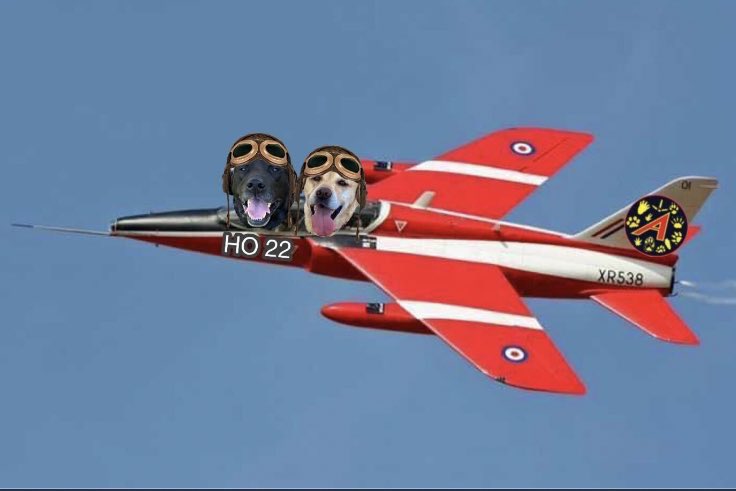HO22 airborne and circling OVR #theaviators