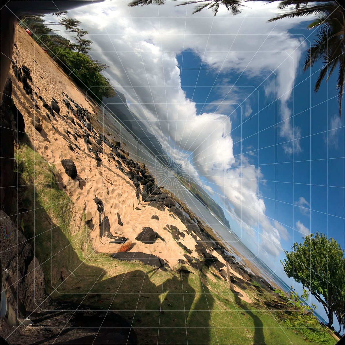 Mike Swanson tweet media