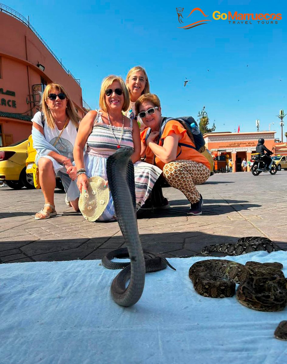 Marrakech: Jemaa el-Fna, la surrealista 'Plaza de los encantadores de serpientes'
.
.
.
#gomarruecostours #visitmarrakech #visitmorocco #travelmorocco #moroccotravel #moroccovacations #morocco #zocos #zocosmarrakech #travel #africa