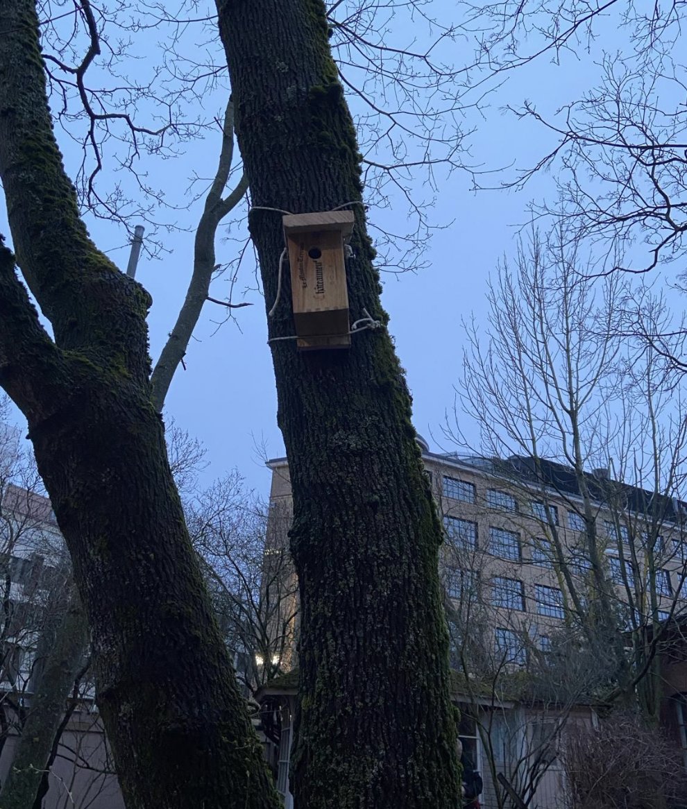 It's spring in Helsinki! Welcome migratory birds! #ChâteauneufduPape #CircularEconomy #BirdHouse