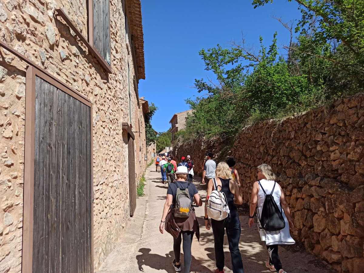 🥾La darrera caminada amb valor programada per enguany ens ha portat a passejar entre marges de pedra seca, petits horts ufanosos, figueres i avellaners. Hem gaudit d'una ruta entre Vandellòs i Remullà envoltats de muntanyes i natura. Teniu ganes de fer més rutes amb valor?