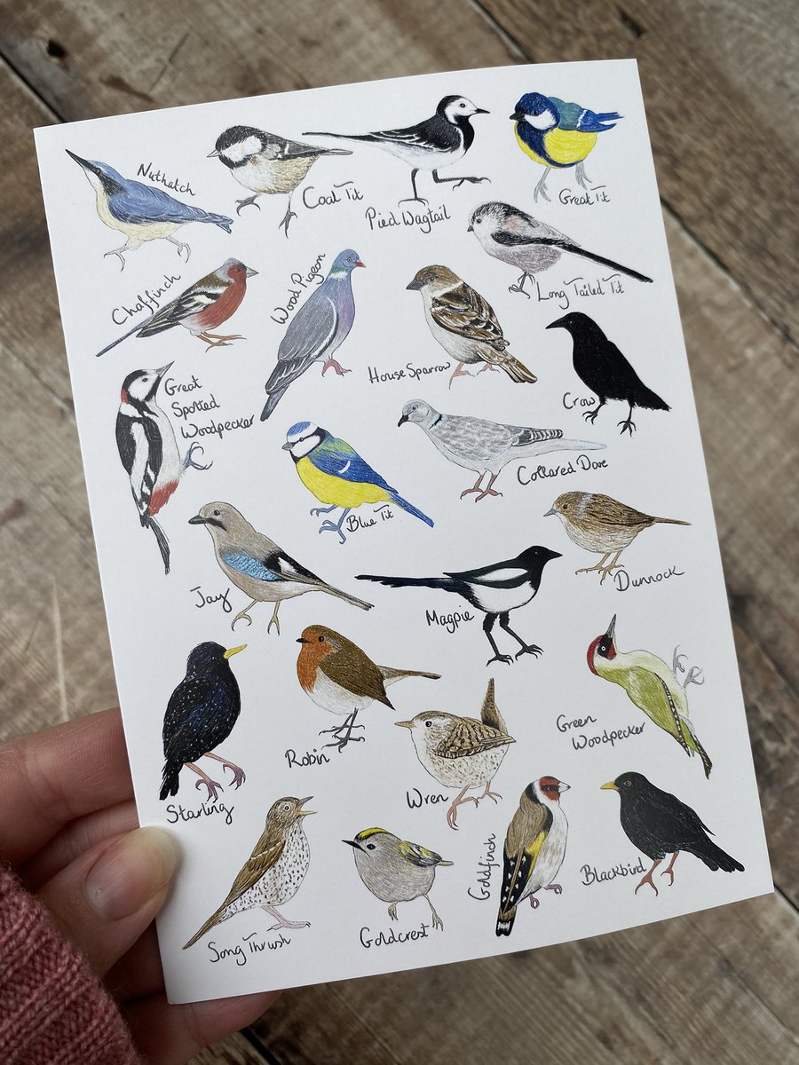 Cards galore in my Etsy shop etsy.com/uk/shop/WildeA…. They’re FSC certified and printed in the UK. Free UK postage too! #shopindie #handmadehour