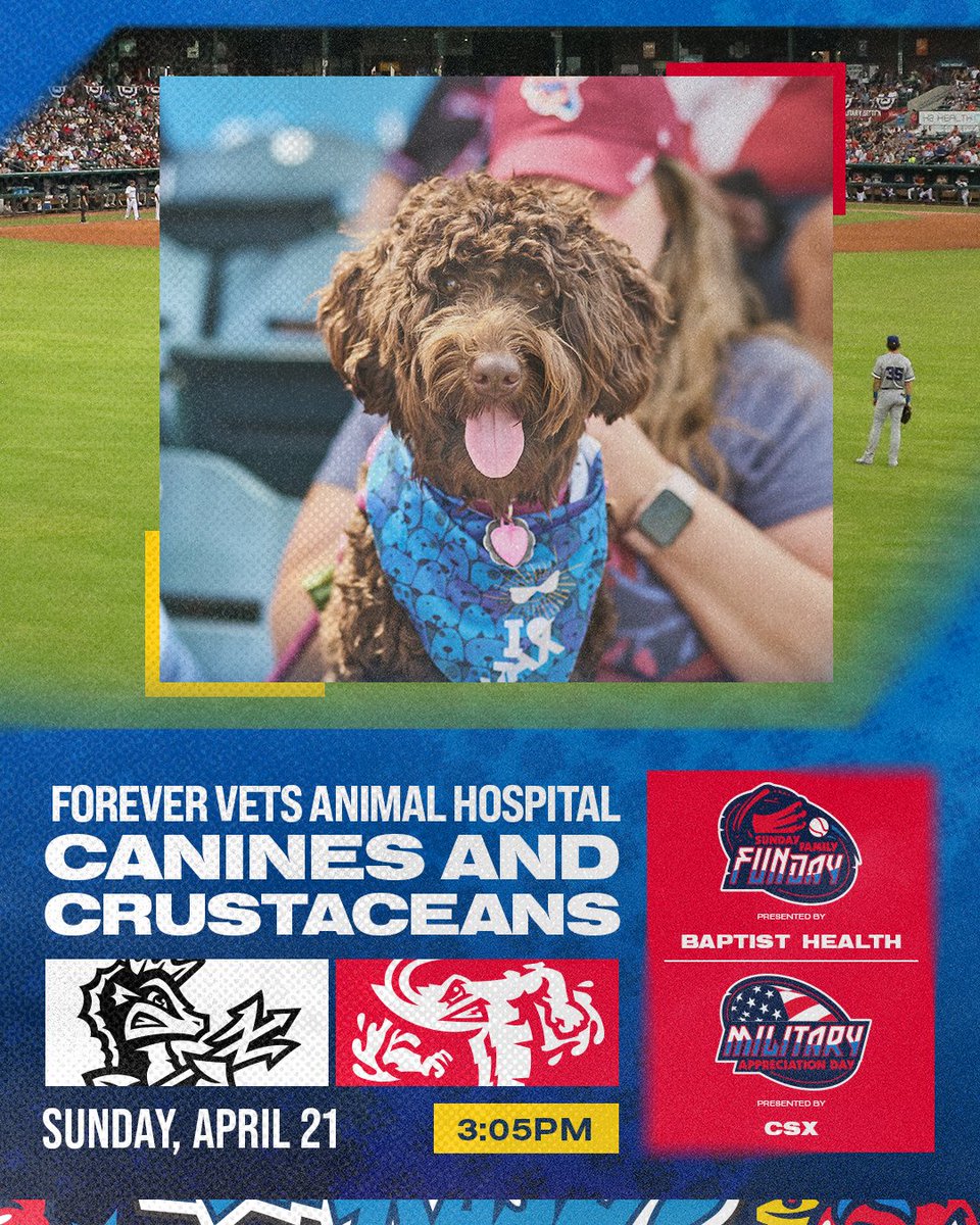 Our next @BaptistHealthJx Sunday Family FUNday on April 21 is also a @forevervetsani1 dog day and @csx Military Appreciation Game! Gates open at 2pm TIX: FREE for military | start at $5 for civilians