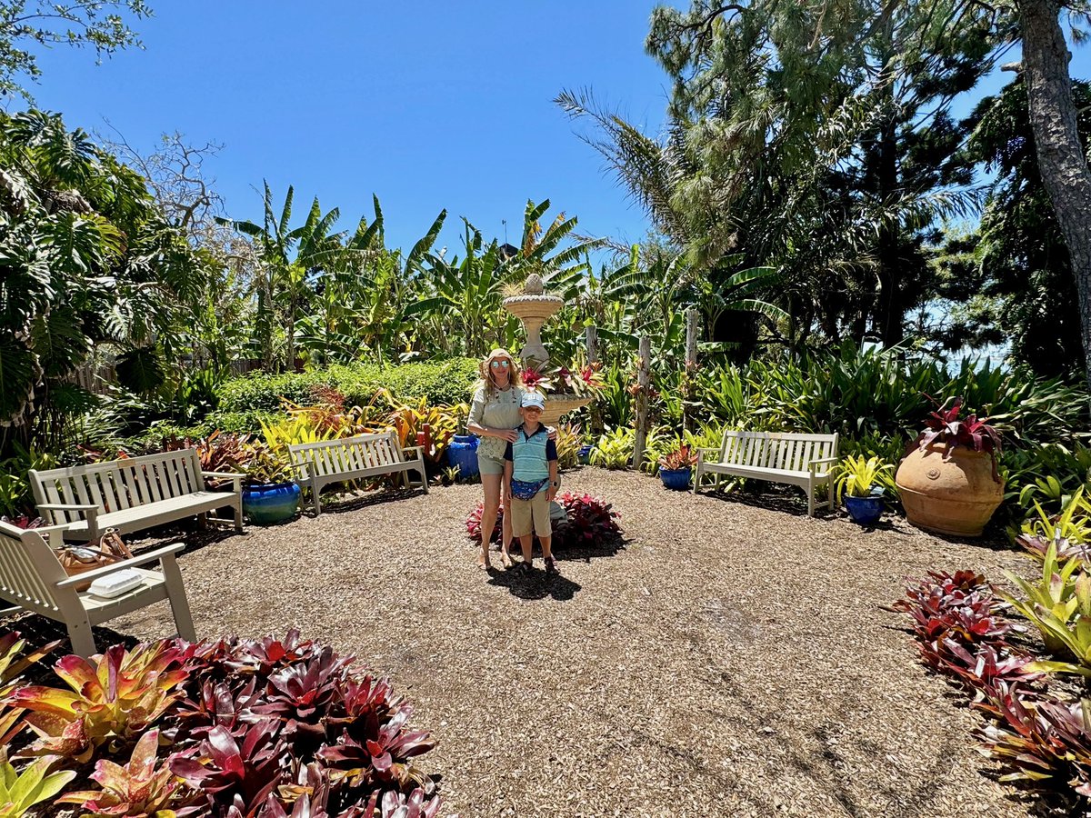 Marie Selby Botanical Gardens, Sarasota, Florida 🐡🐠🐟☀️ #botanicalgardens #sarasota #florida #selbygardens