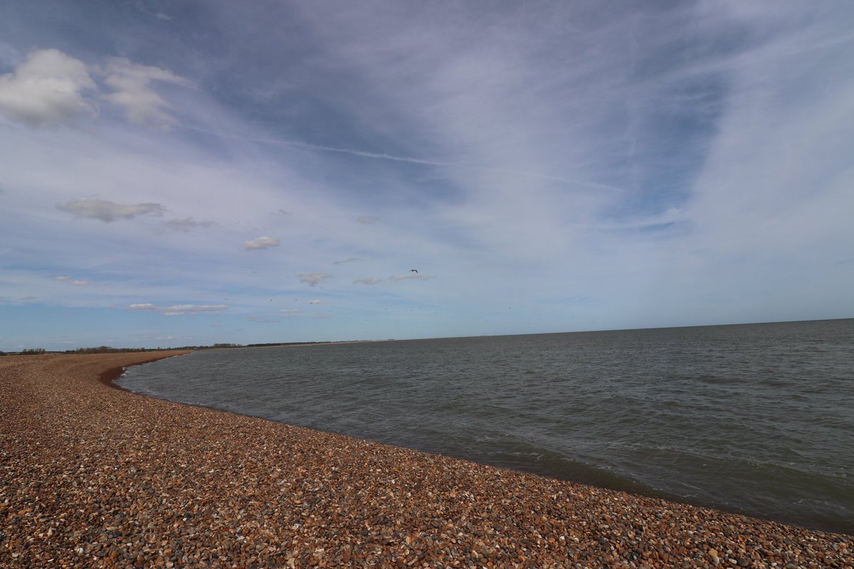 8irdz's tweet photo. Suffolk scenes https://t.co/x1rsdTPfXv