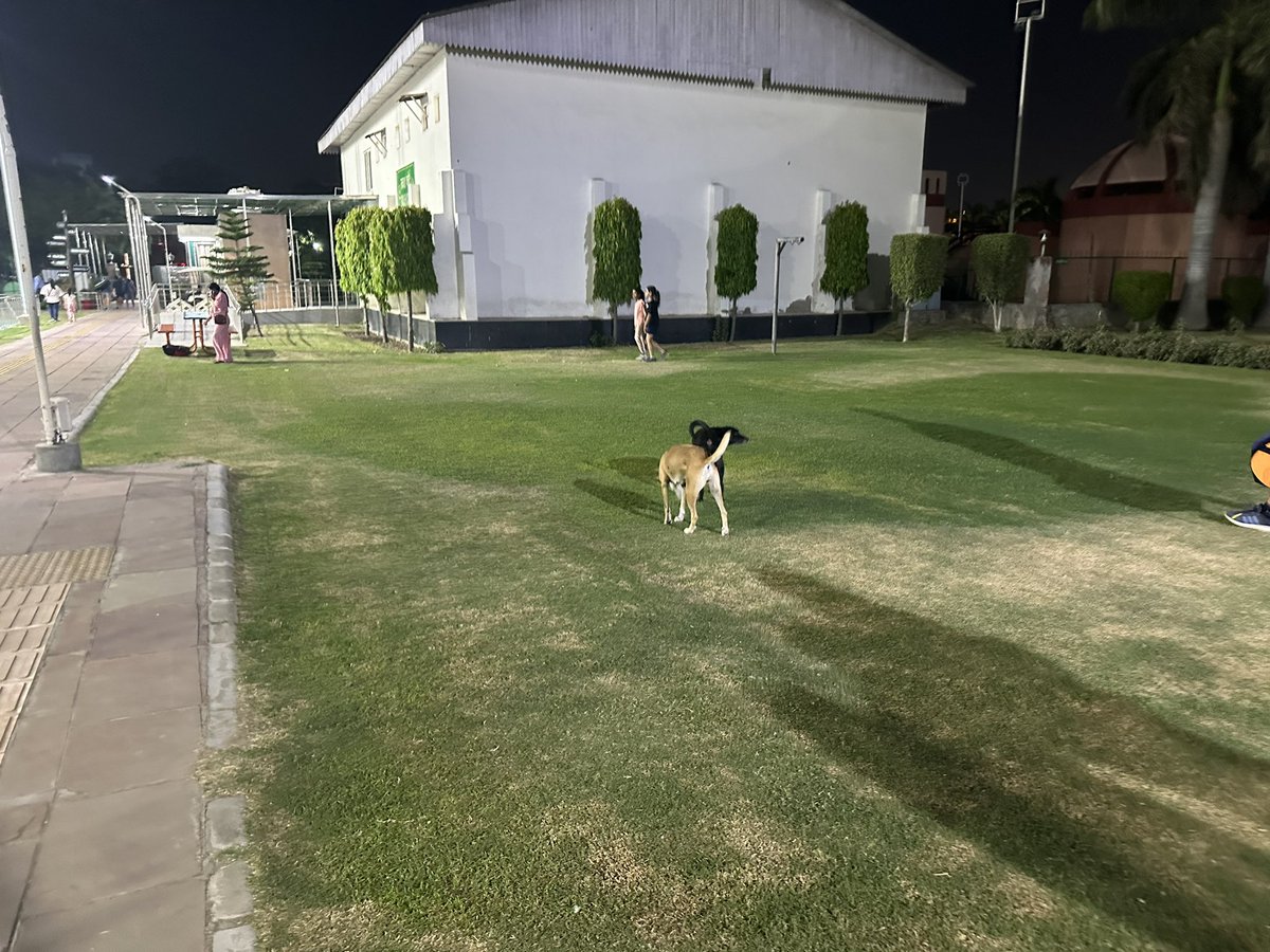 Even #sports complex RSKP of @official_dda is not #Safe for members #dogs roaming freely #PMOIndia @PMOIndia @MoHUA_India @TOIDelhi @NavbharatTimes @htTweets @HTSportsNews @toisports @ndtvindia @aajtak