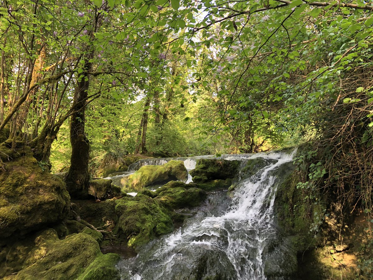 Petite halte sur la route du retour du salon bio de Besançon. Peu de monde mais comme toujours de très belles rencontres. Merci à ceux qui sont venus.