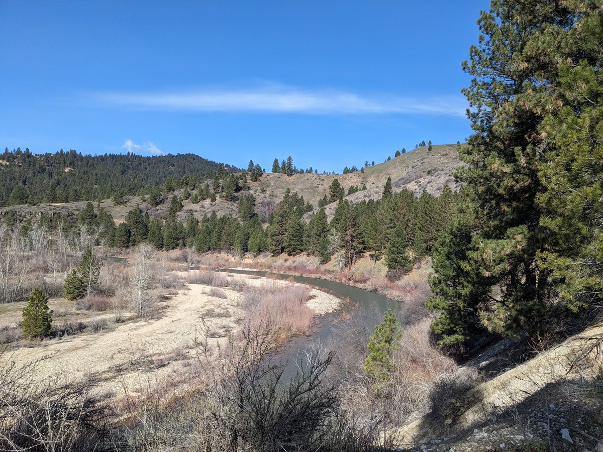 Pretty light runs until the Race to Robie Creek half next Saturday. Probably nice weather as the forecast currently looks, though I wish it started before noon

#running #trailrunning