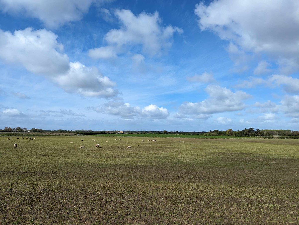 A 13km walk from Barmby Moor to Bishop Wilton today. I stopped off at 4 historic churches on the route. The next few posts are some highlights: 1) St Catherine, Barmby Moor 2) St Martin, Yapham 3) St Ethelburga, Great Givendale 4) St Edith, Bishop Wilton Next slide please (🧵)