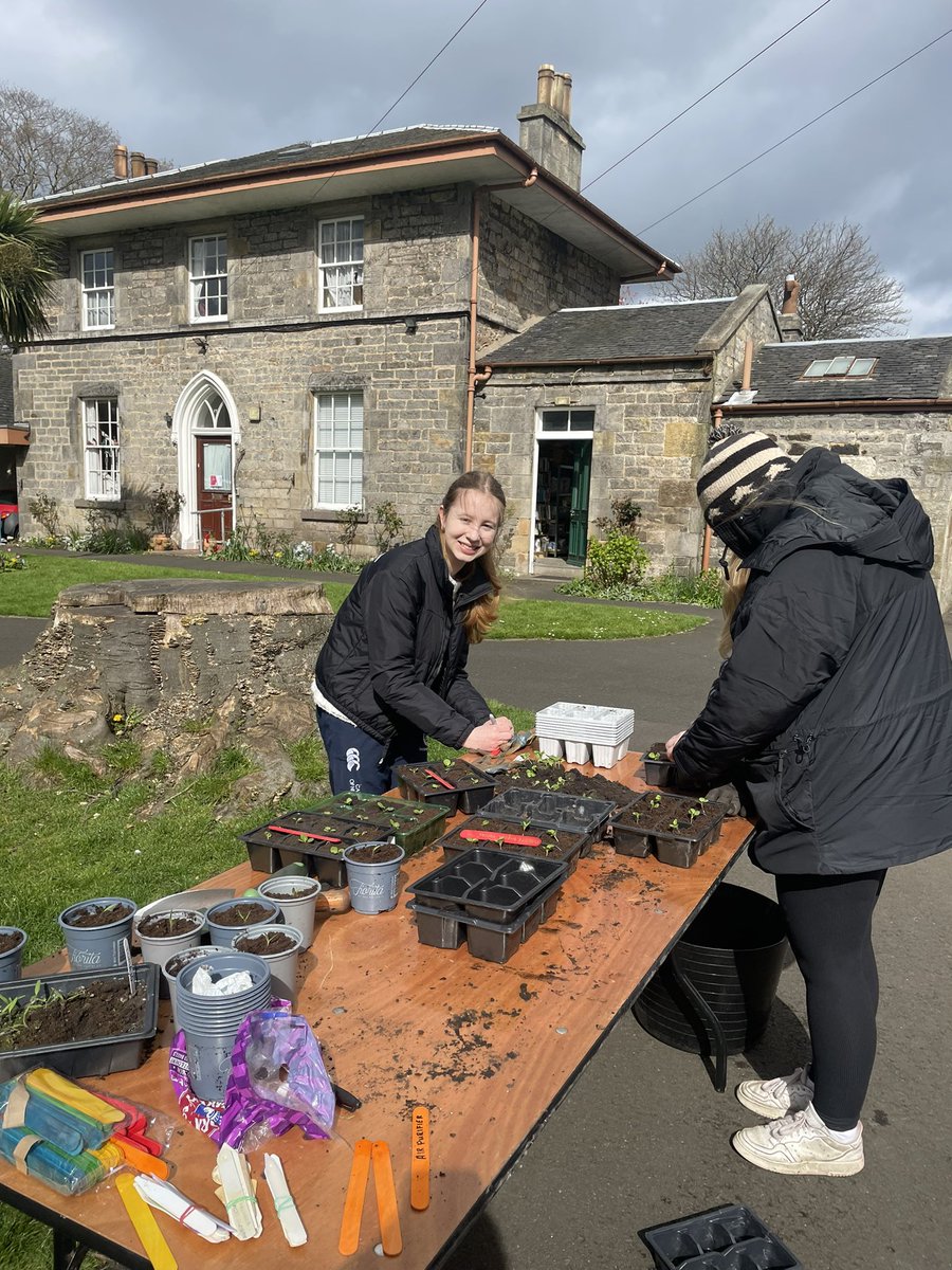 Fantastic seedling potting on from our @DofEScotland volunteers @StarbankPark. We are working hard creating a plentiful supply of plants for the park and our stall on 28th April 2-4pm for our annual Cherry Blossom Picnic #Hanami #CherryBlossom #volunteering #NationalGardeningDay