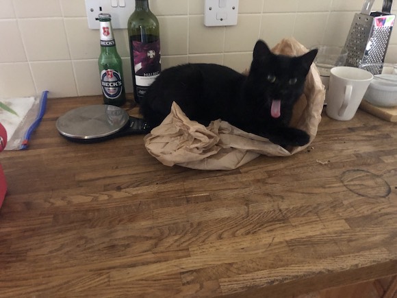 Paths / Boxes / Peas dlvr.it/T5VXr7