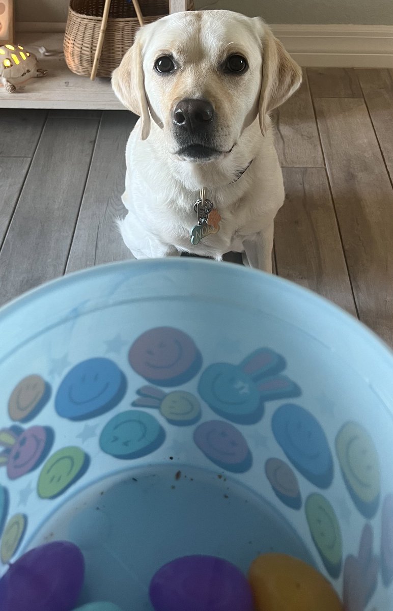 DailyNoriPics's tweet photo. Late Easter post but I found my eggs! 🐰 https://t.co/jl5kB35ulY