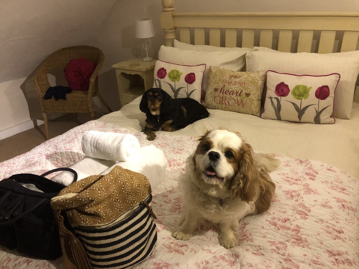 Another Cotswolds holibobs cottage. Ernie had gone up to bed so I went to join him! @Price27P @NicPrice22 #RememberingErn 💙