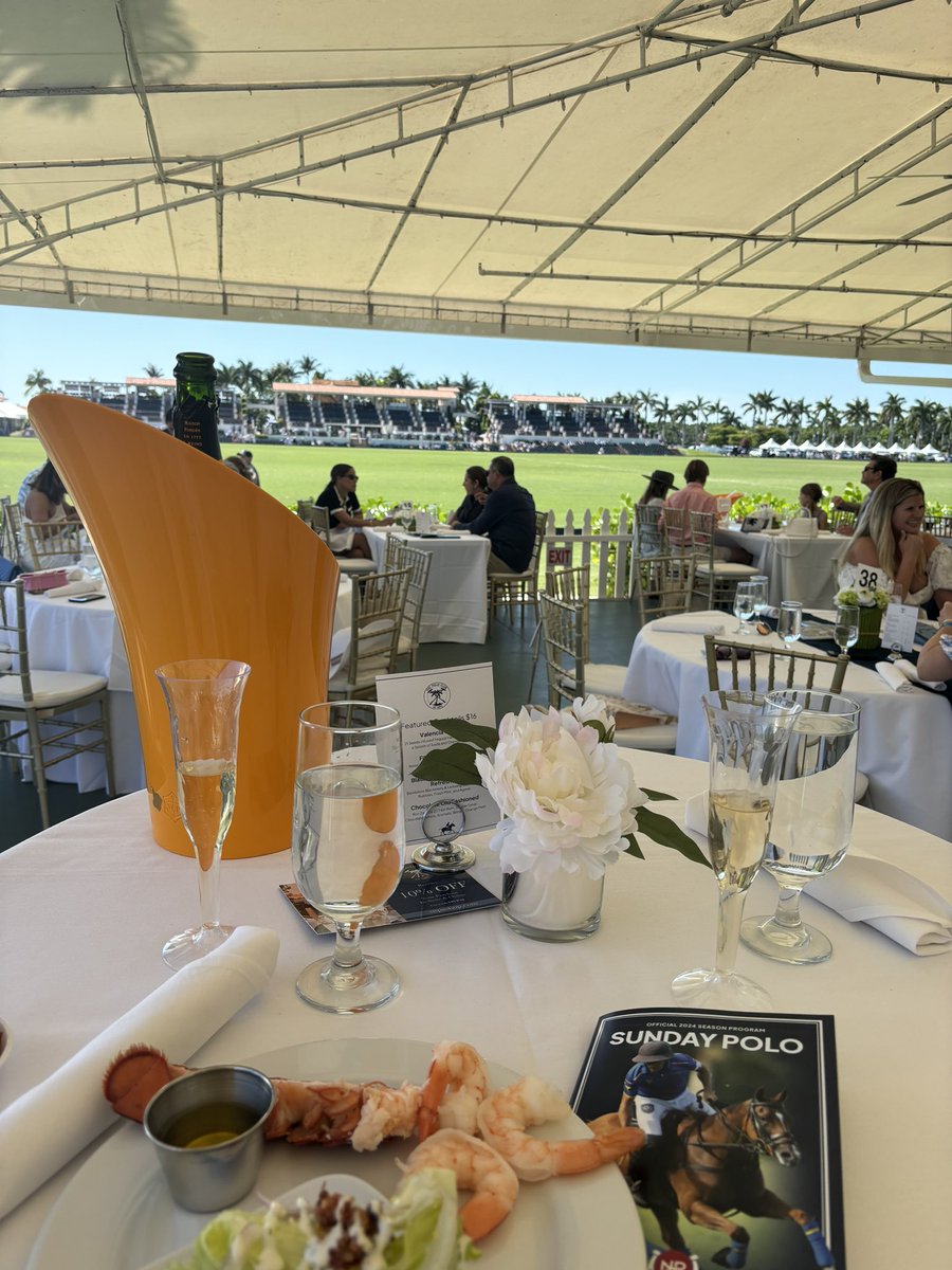 in celebration of not paying my taxes i came to the place with the most tax avoidance i could think of: a polo match in palm beach im inspired by each and every one of these hustlers😤💸💯😈