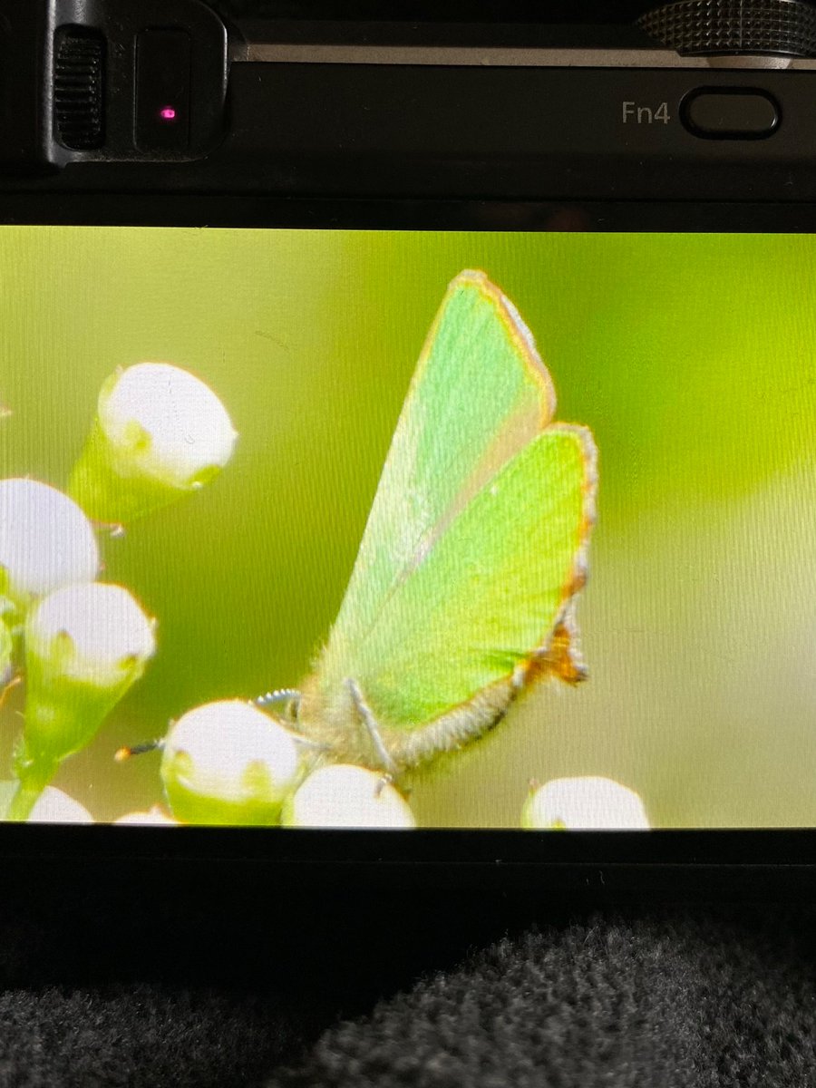 Stephen Howell tweet media