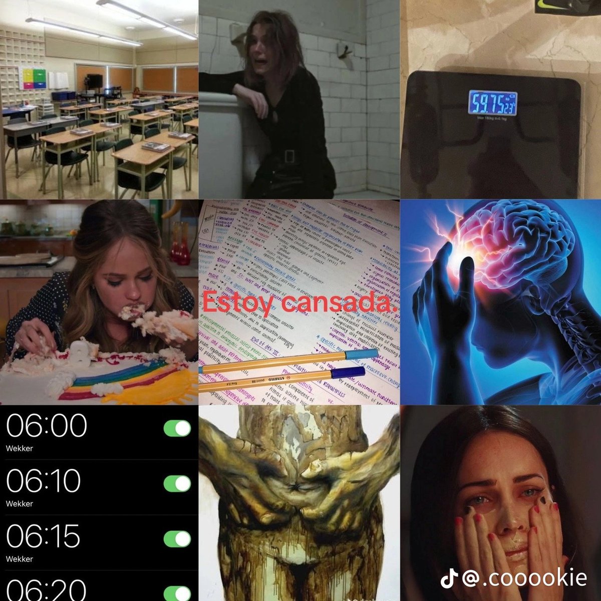 resumen de mis días: