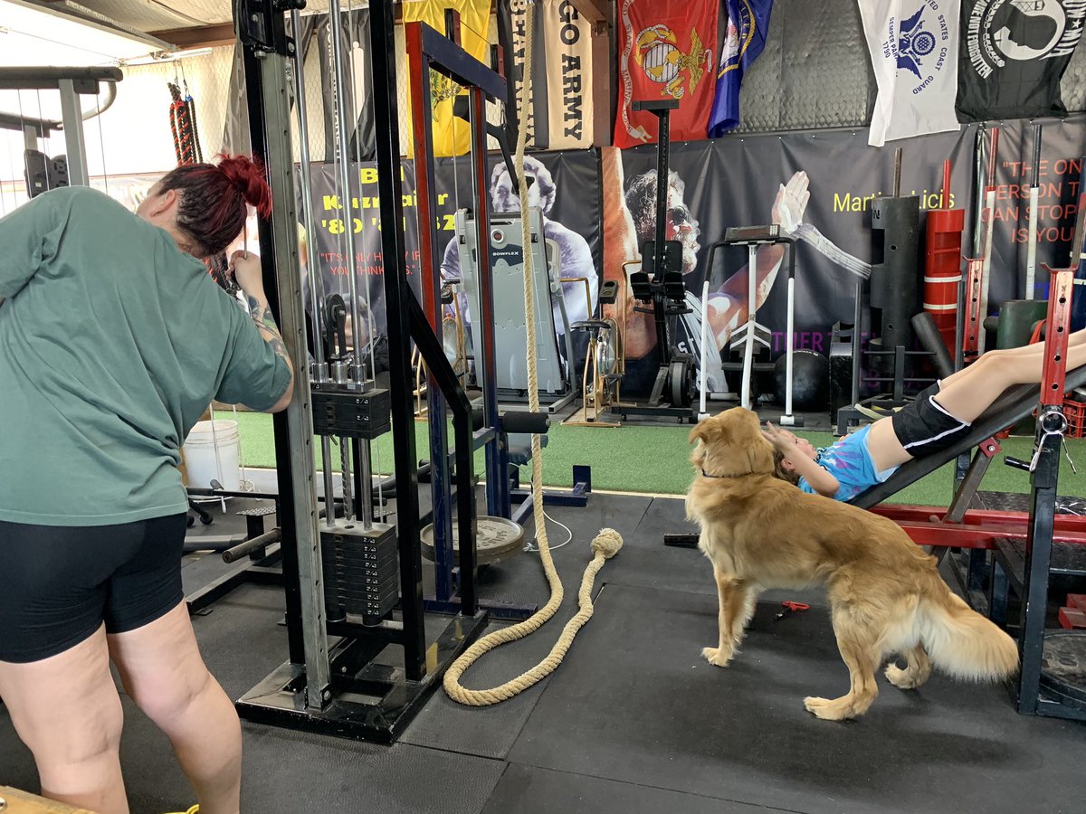 Mental health and Physical health go hand in hand! And on Sunday afternoons, it’s a FAMILY affair! Even Mikko the service dog gets involved! #MentalHealthAwareness #physicalhealth #familygymtime 
@AgbCharity @AlphaDogsGG