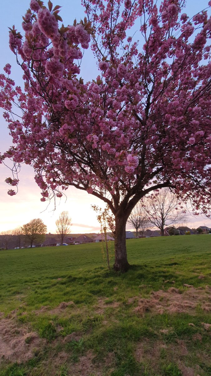 Murtaxa Khan 🇦🇫 tweet media