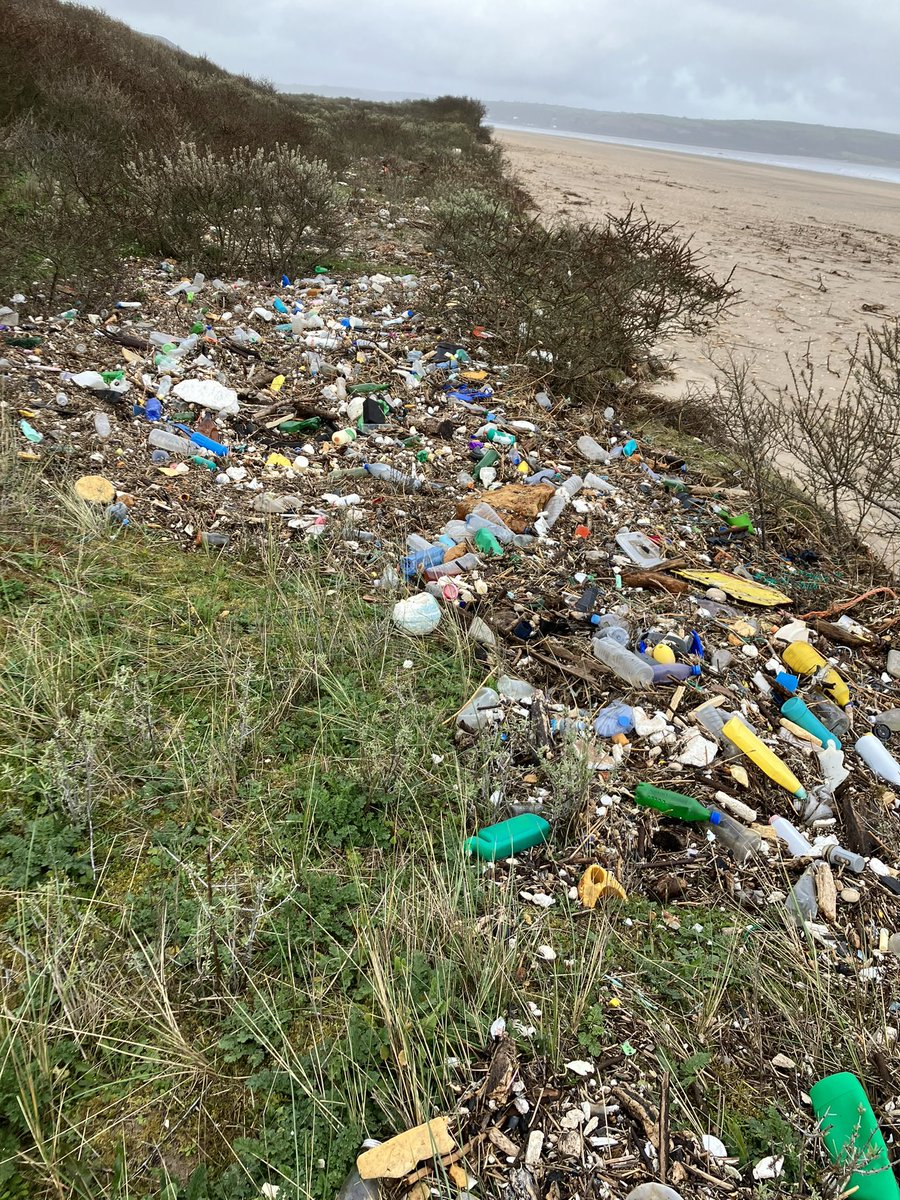 Jules O'Shea tweet media