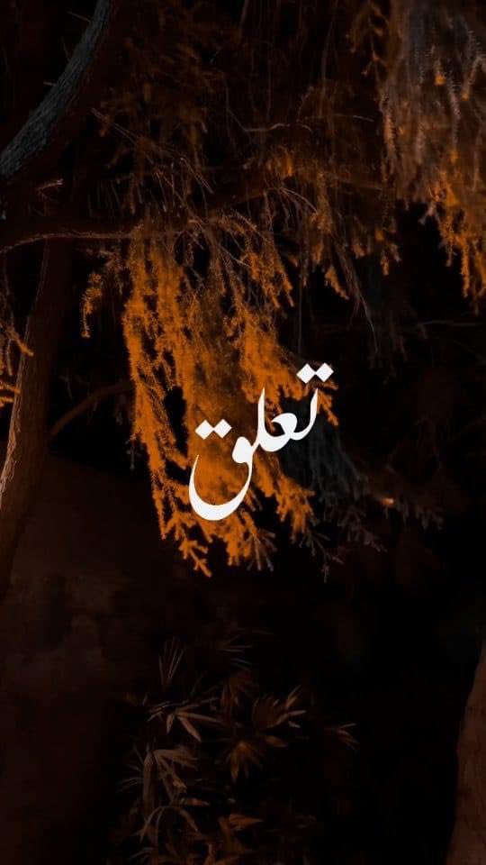 کتنے مرد حضرات ہیں جن کو بالغ ہوتے ہی "سورۃ المائدہ" کی تفسیر پڑھائی گئی اور کتنی عورتیں ہیں جن کو بالغ ہوتے ہی "سورۃ النور"کی تفسیر پڑھائی گئی۔

جانتا ہوں ،بہت کم ہیں۔

مگر دوسری طرف دیکھیں..!
کتنے مرد ہیں جنہوں نے والدین سے بالغ ہونے کے بعد سنا کہ تمہاری کوئی ایسی ویسی بات نہ