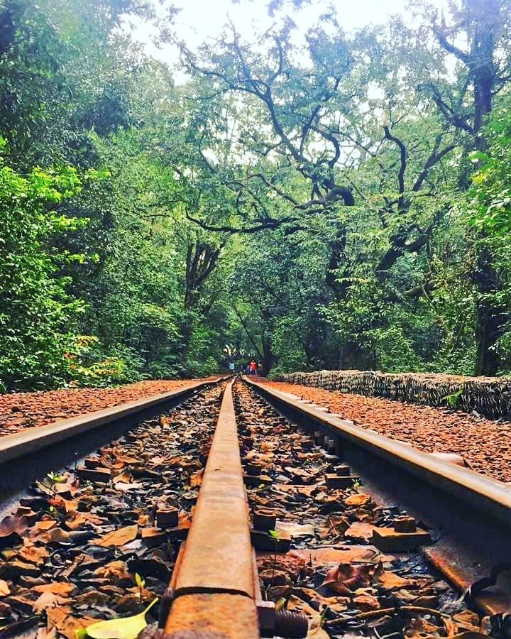 Amey Kulkarni 🇮🇳 tweet media