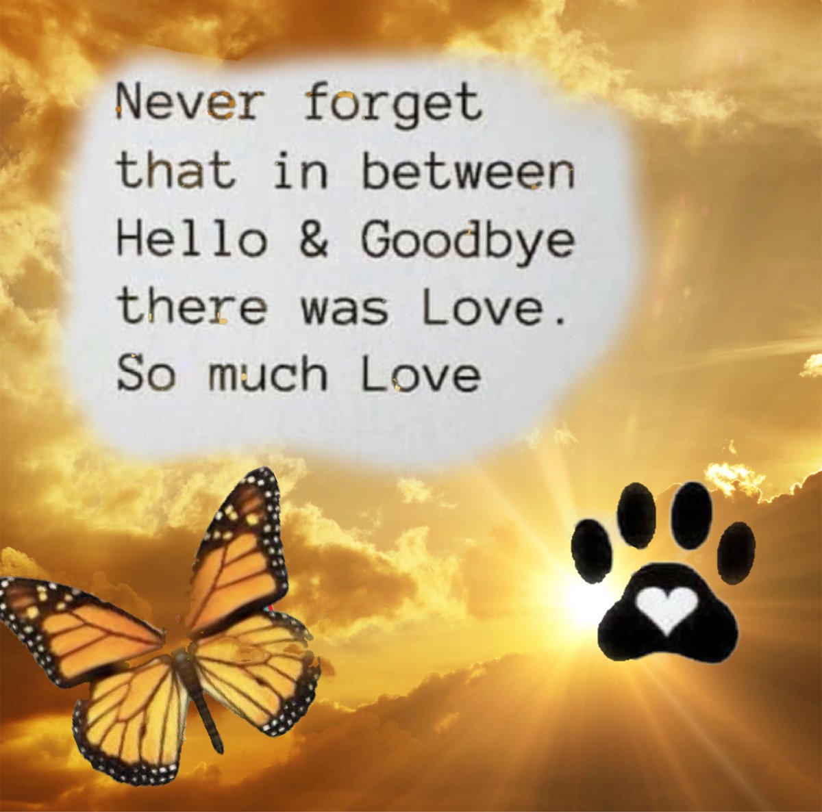 #TheAviators @vitcza @StevensonCanyon @AnipalAviators ❤️🛩️❤️ Salutes my buddy Captain Rocky.Thank you so much for leading the wonderful Escortflight for our dear pal Tommy. You did a beautiful job. ❤️🛩️❤️ Safe flight home all. Night Night.❤️🛩️❤️