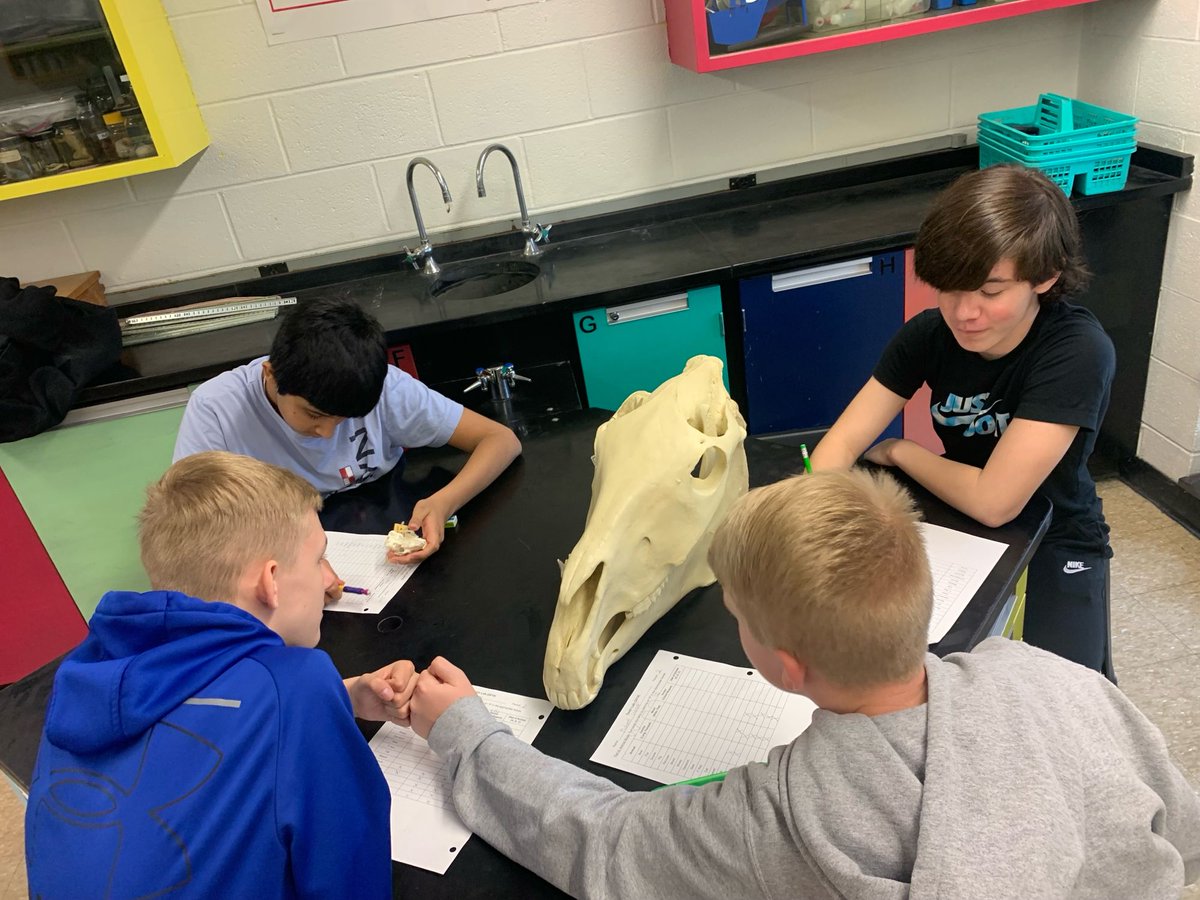 Students in Mrs. Luff’s Science class completed a teeth lab.