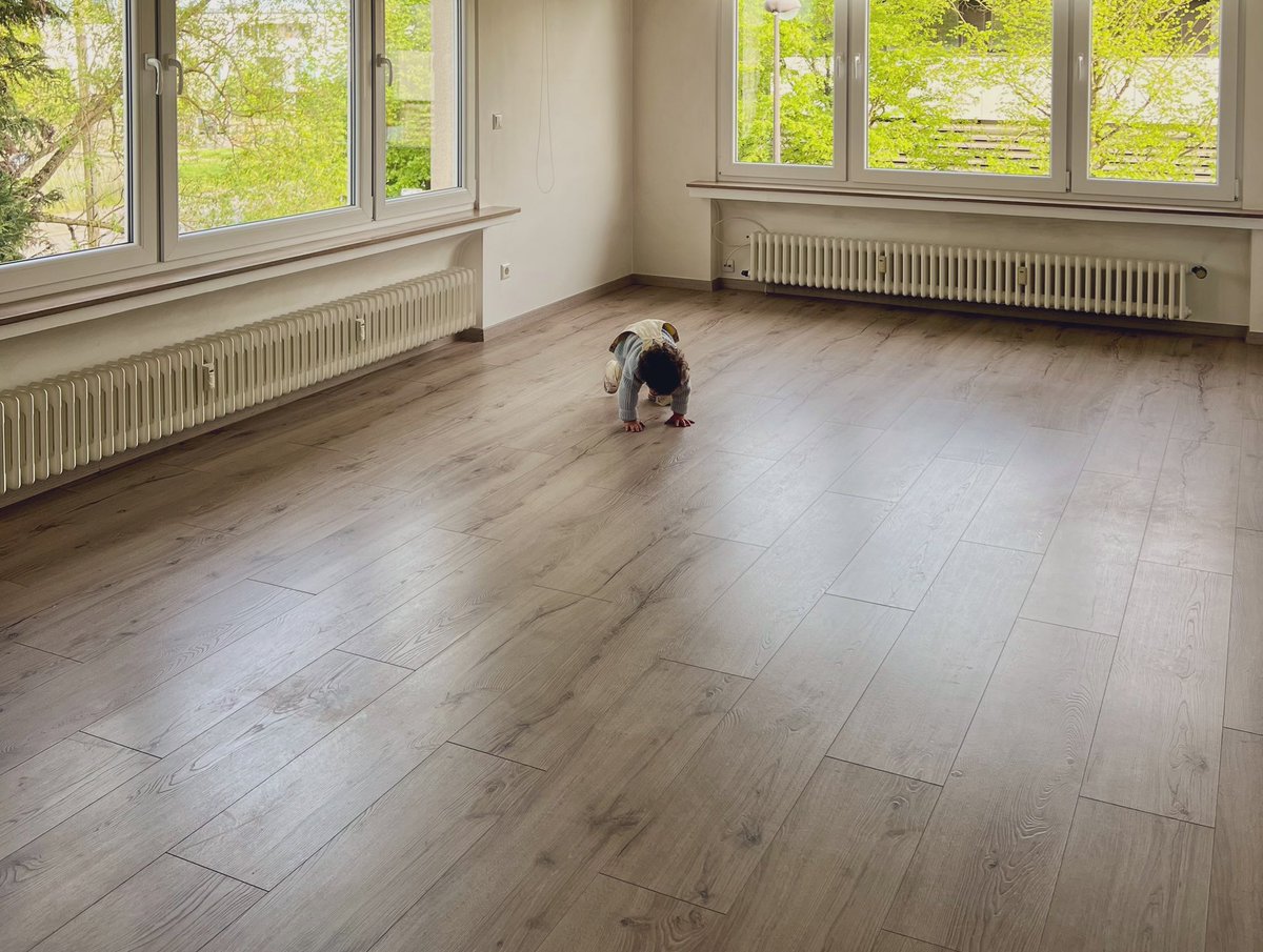 Gonçalo DC tweet media