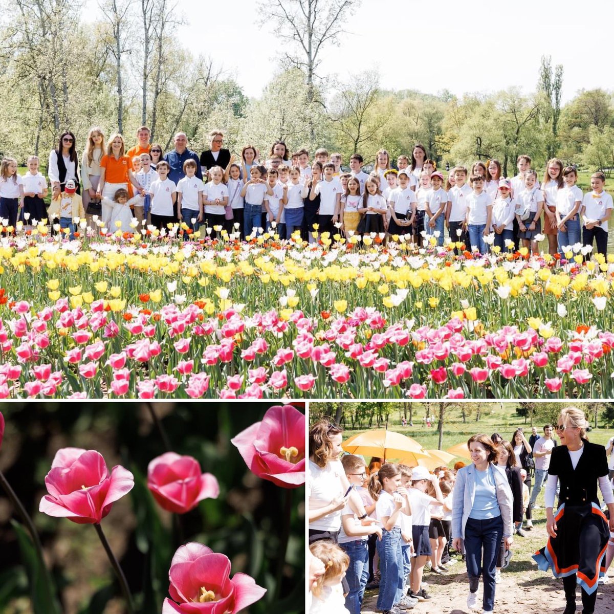 Our Tulip Island was officially inaugurated by President Maia Sandu today. A symbol of growing 🇳🇱🇲🇩 relations and a colourful treasure open to enjoy by all in the beautiful Botanical Gardens of Chisinău.