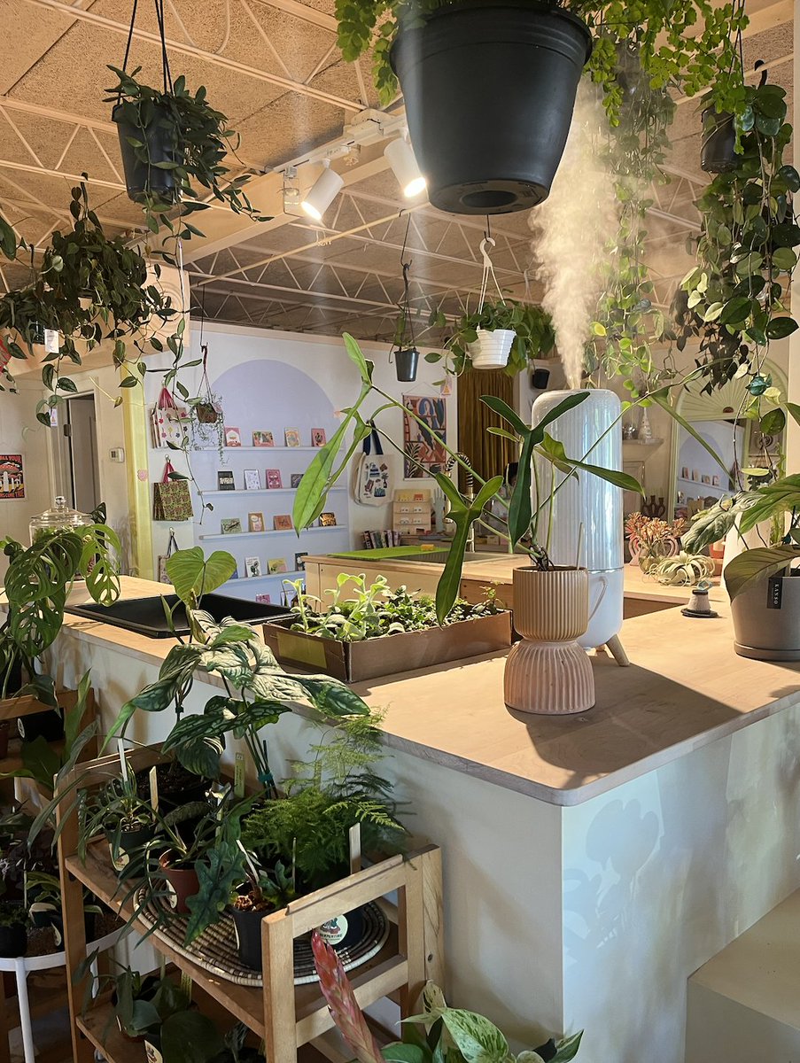 Lilysinger_'s tweet photo. Had so much fun checking out Serpentine Plants + Provisions this past weekend! Such a cool environment and an overall great vibe. https://t.co/TfA0p35PrY