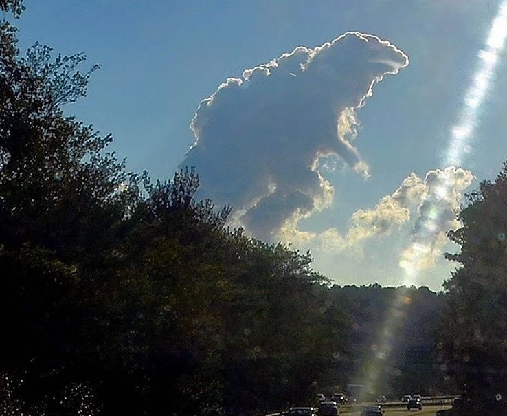 beautiful looking Godzilla cloud