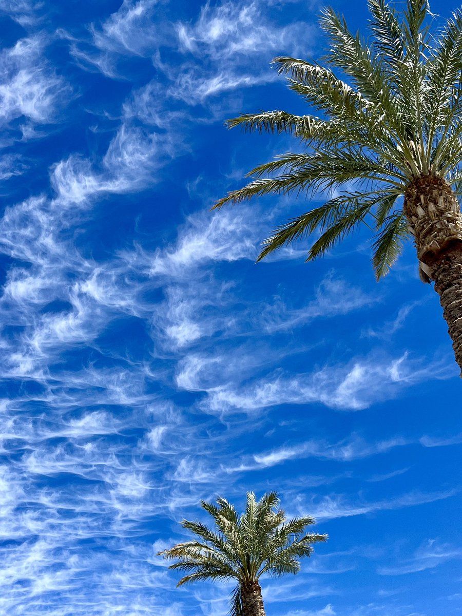 cirrus uncinus (from Latin meaning 'curly hooks') also known as mares' tails