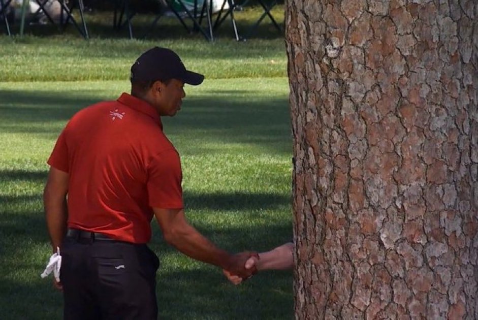 When you hook your drive but it hits a tree and goes back into the fairway.