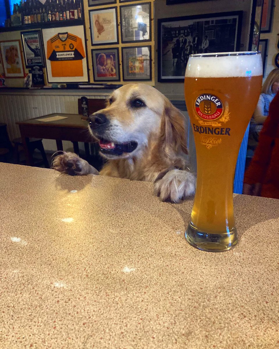 Always take the time to paws for a pint.