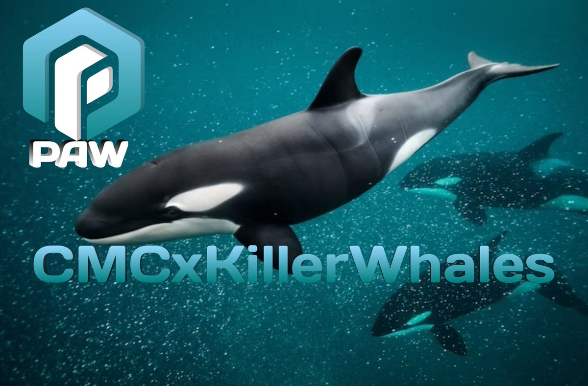 @thehellolabs @KillerWhalesTV Would love to see $PAW for #PAWSWAP & @PawChain on season 2 of #KillerWhalesTV @thehellolabs 👀 Let's make it happen!🤜🏽🔥🤛🏽 PawChain.net @BuildOnPAW @KillerWhalesTV