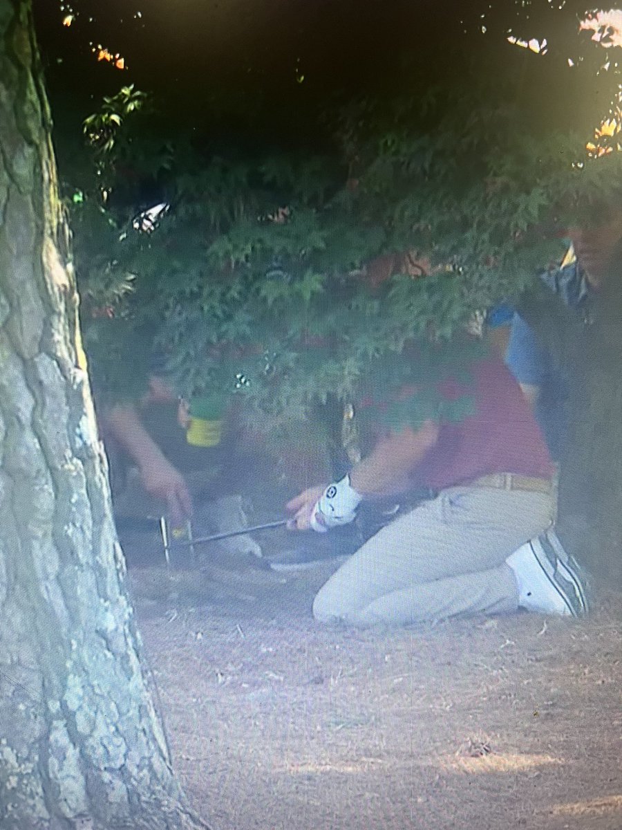 Ben Lambers tweet media