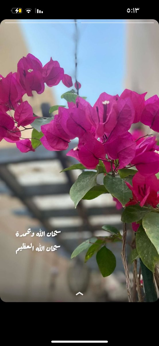 abeerr901's tweet photo. @teacher__ali https://t.co/wKxIBfnNIg