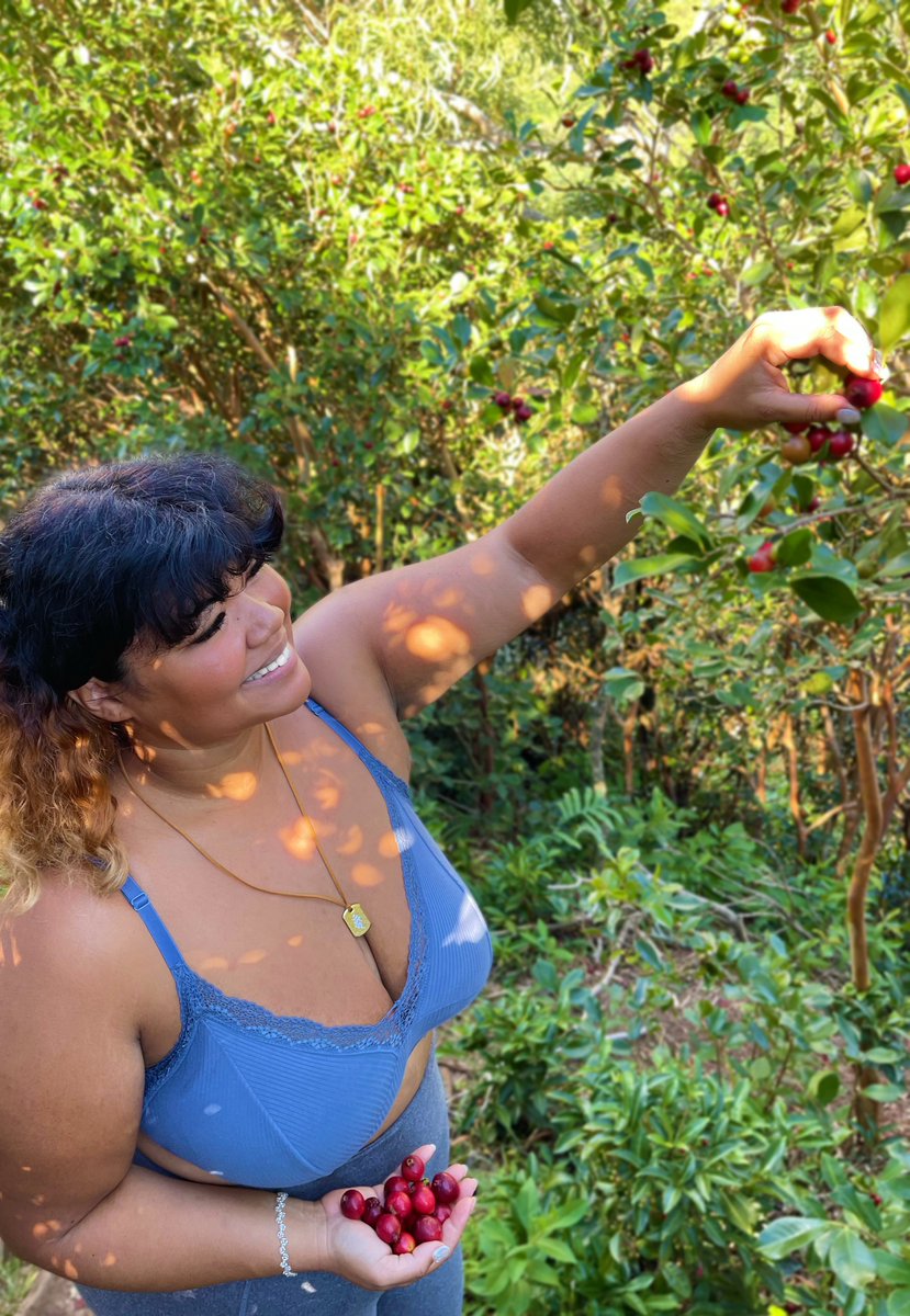 Stumbling across a Strawberry Guava grove. 🌺✨