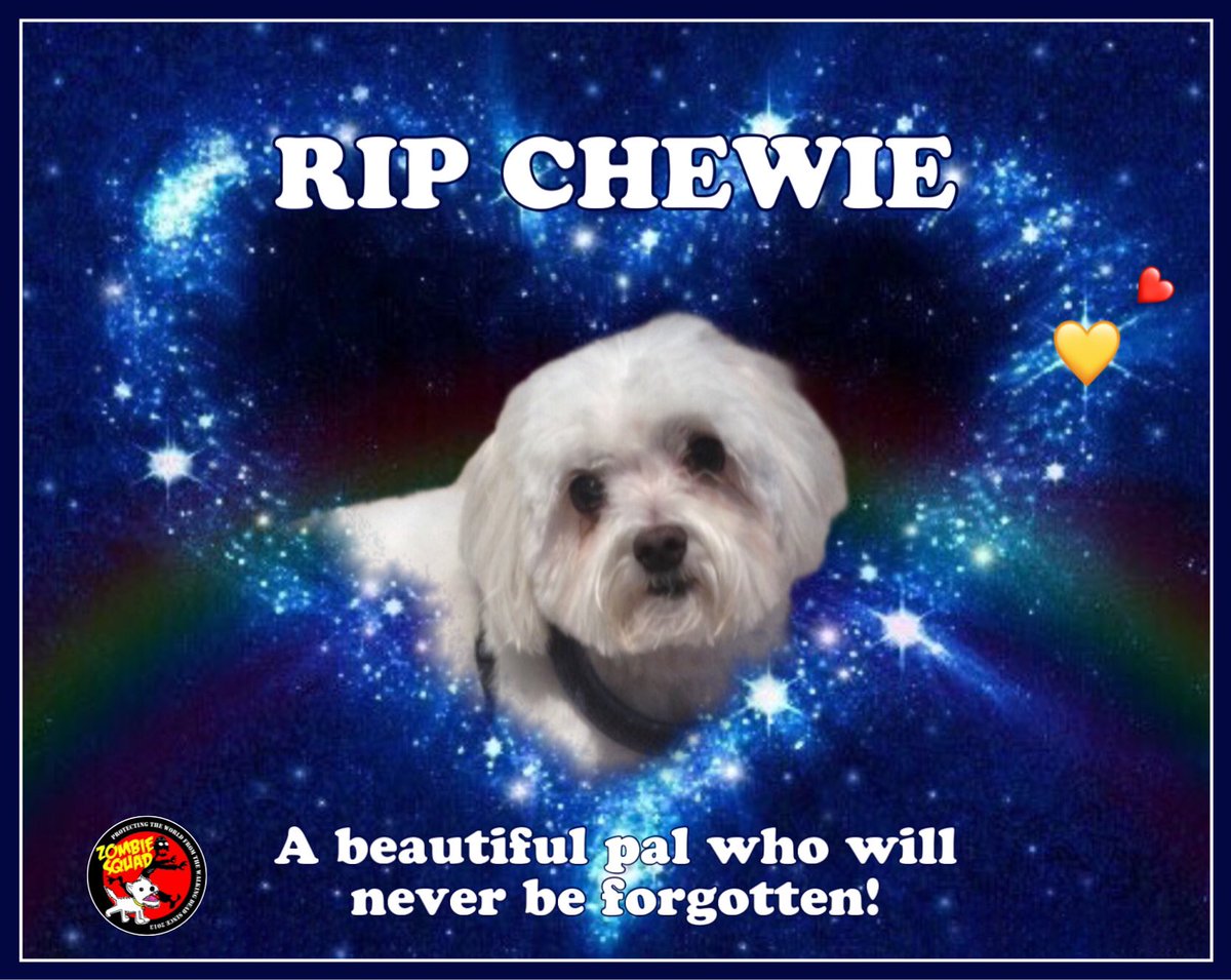 @ZombieSquadHQ @chewie_the_dog5 @CancerDoggy @TheCatMalice @WestieBiscuit @Sprocket_Cool @RhondaHendee @BengalPandora @ZeroRice1012 @Burrow43 💔😢Sending love & deepest sympathies to the family & furpals of CHEWIE🌈. *gently hugs his Mom & family* Run free & adieu fur now, brave soldyer & beautiful pal. *salutes & respectfully lowers head* 💕💜🐶🌈 @chewie_the_dog5 @ZombieSquadHQ #ZSHQ