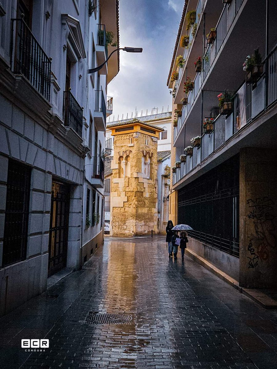 💙 Un paseo entre sueños..

#CórdobaEsp