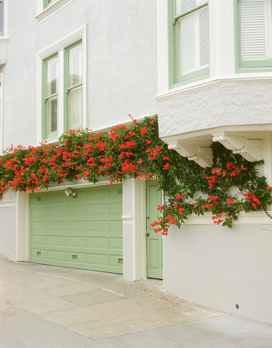 nickjrufo's tweet image. i love film photography