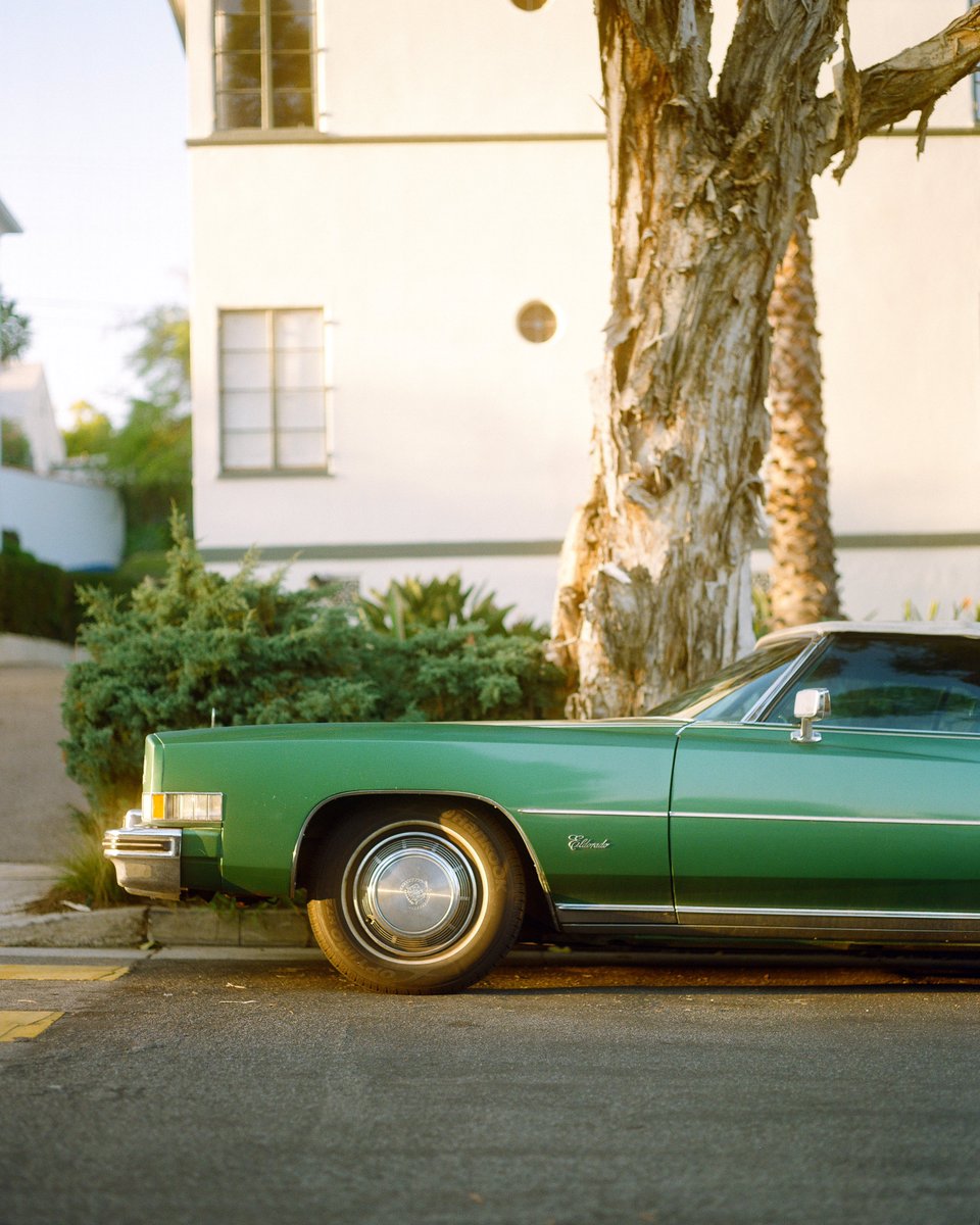 nickjrufo's tweet image. i love film photography