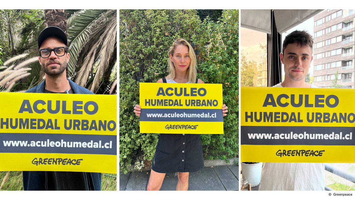 GreenpeaceCL's tweet photo. Ayúdanos AHORA a proteger la laguna de #Aculeo, porque es un ecosistema muy importante para la #RegiónMetropolitana ⚠️🔴
👉Súmate a las miles de personas y actúa al igual que el elenco de #Gen98 firmando en https://t.co/4i1nvvhwX6 🌱
#AculeoHumedalUrbano #ProtegeAculeo https://t.co/18UOKN78cW
